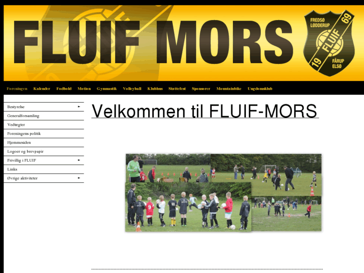 www.fluif-motion.dk