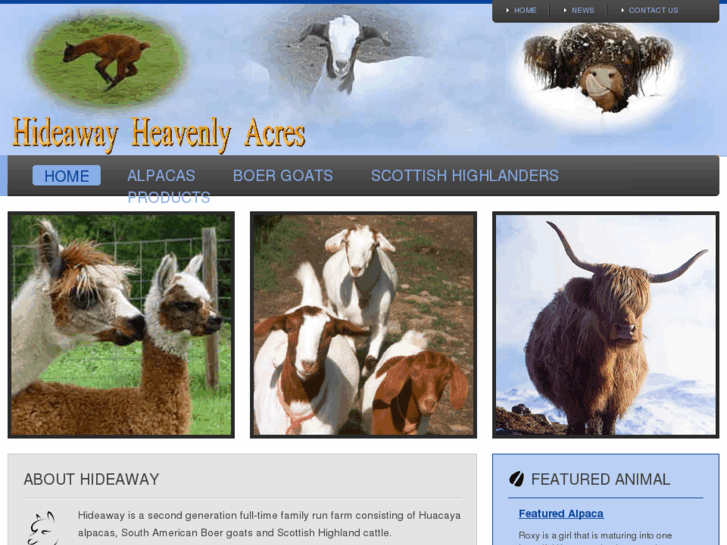 www.hideawayalpacas.com