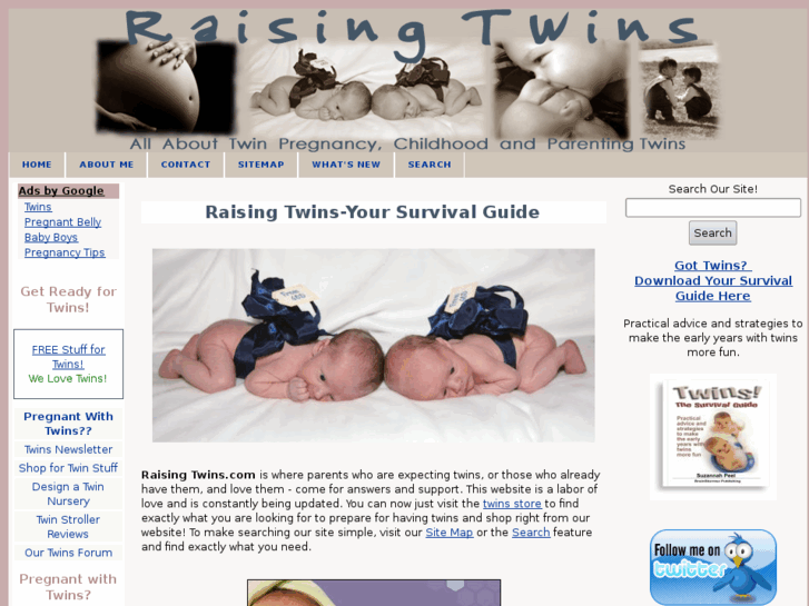 www.raising-twins.com