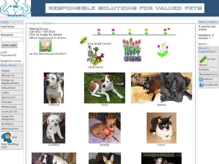 www.rsvpinc.org