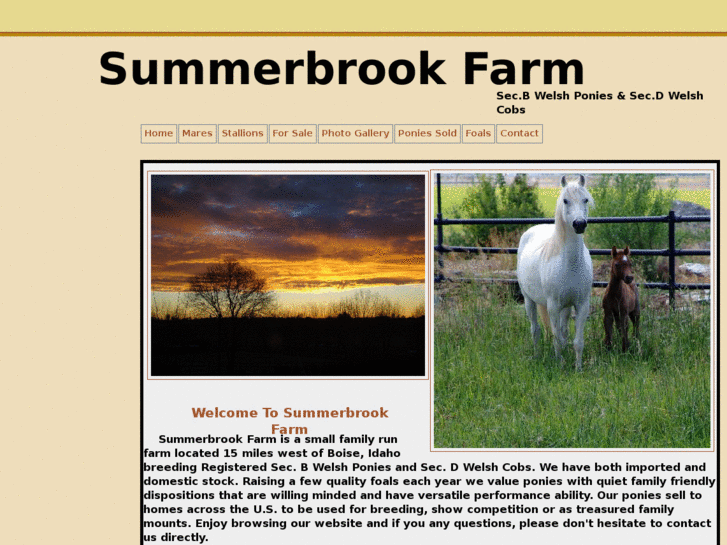 www.summerbrookwelsh.com