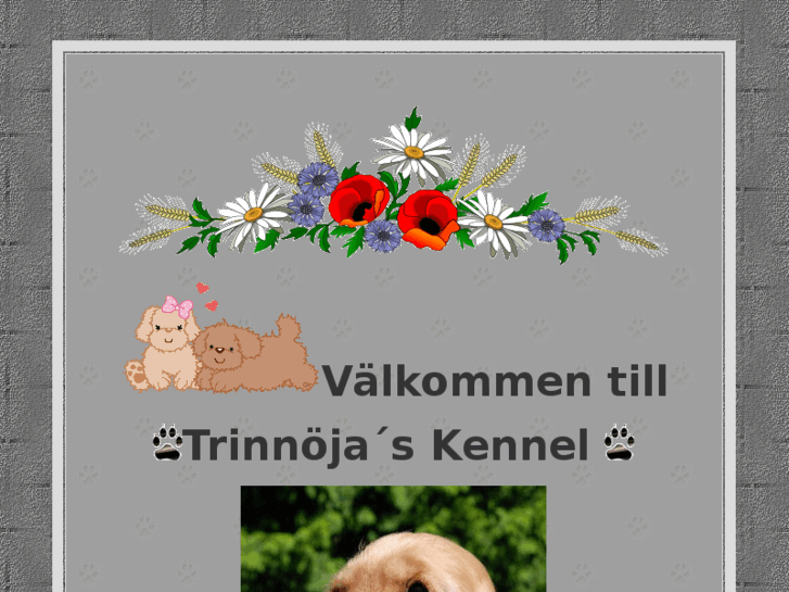 www.trinnoja.com