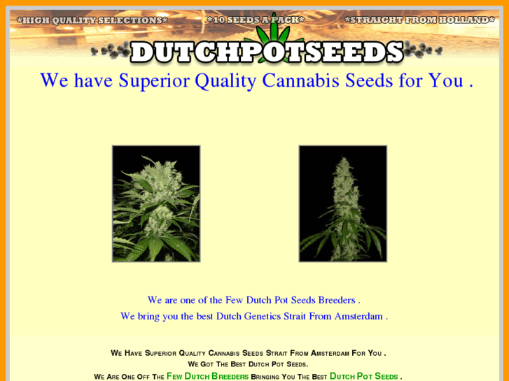 www.buypotseeds.com