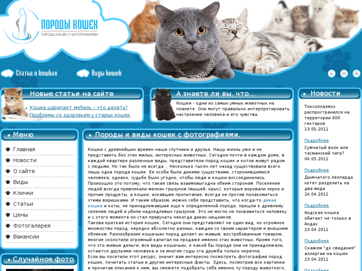 www.cats-exotic.ru