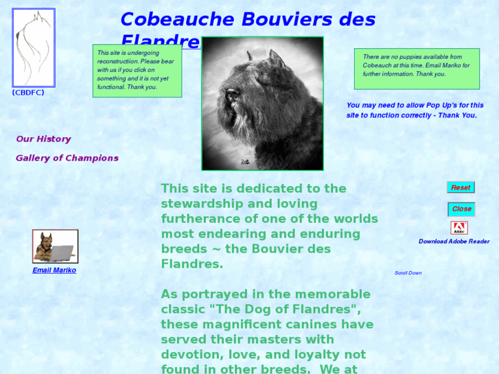 www.cobeauche.com