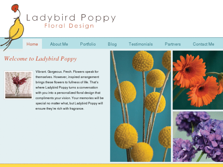 www.ladybirdpoppy.com