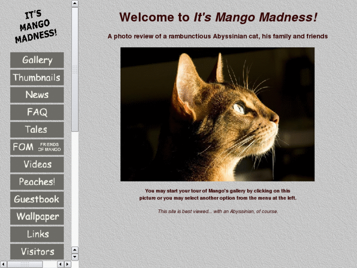 www.mango-madness.com