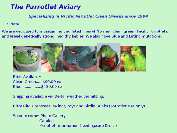 www.theparrotlet.com