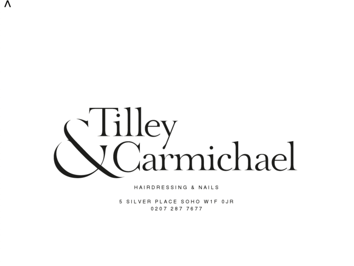 www.tilleyandcarmichael.com