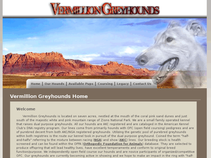 www.vermilliongreyhounds.com