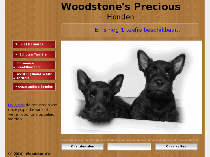 www.woodstonesprecious.com