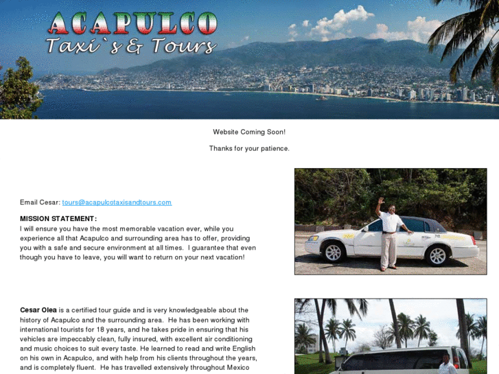 www.acapulcotaxisandtours.com