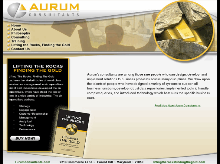 www.aurumconsultants.com