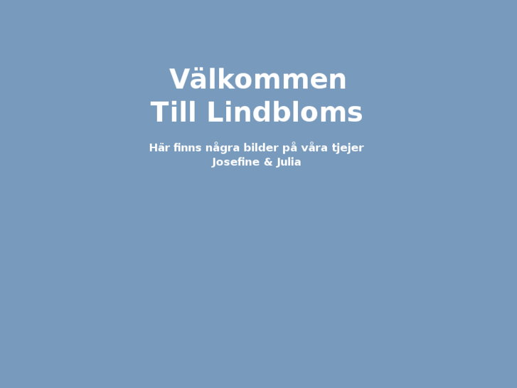 www.lindbloms.net