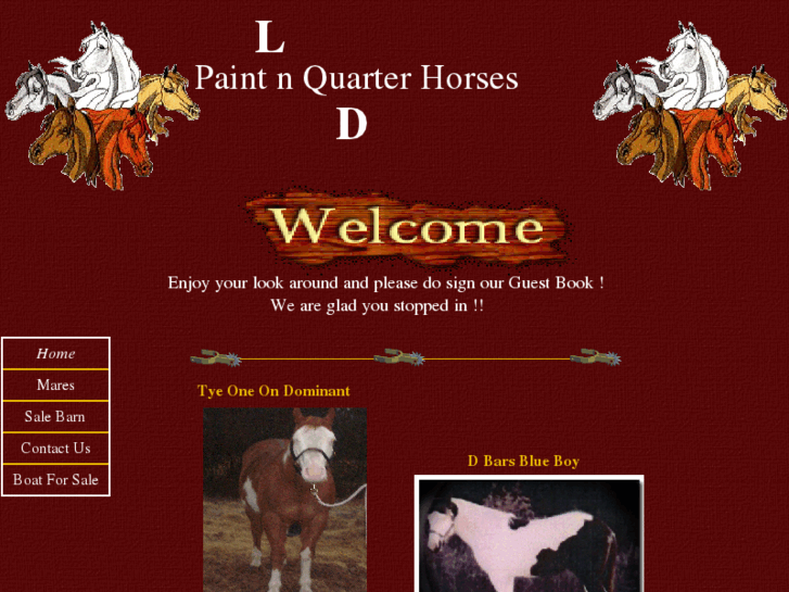 www.lndpaintnquarterhorses.com