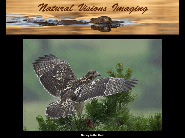 www.naturalvisionsimaging.com