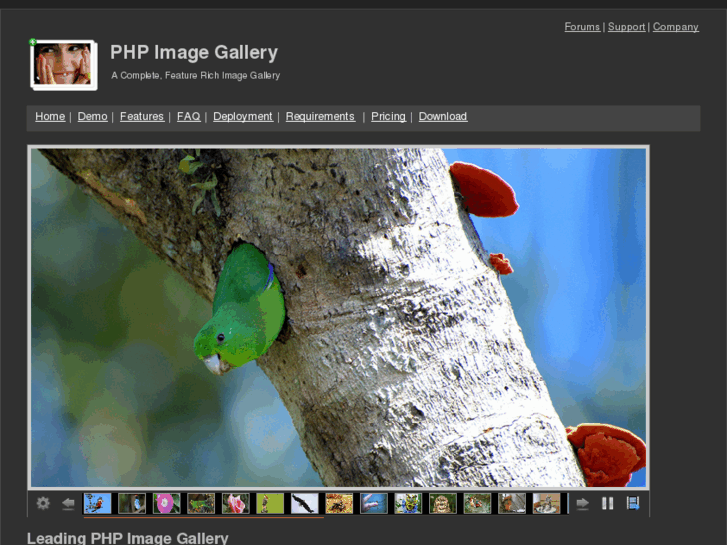 www.phpimagegallery.com