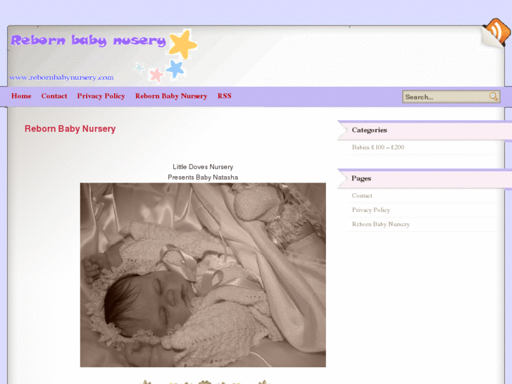 www.rebornbabynursery.com