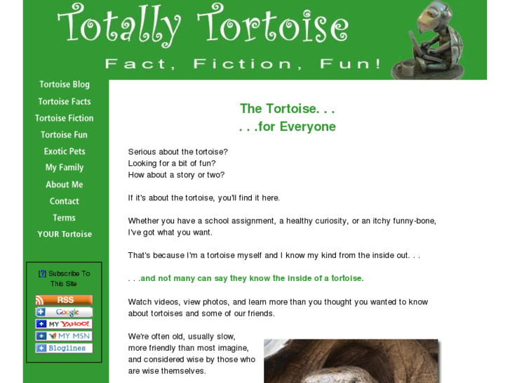 www.totallytortoise.com