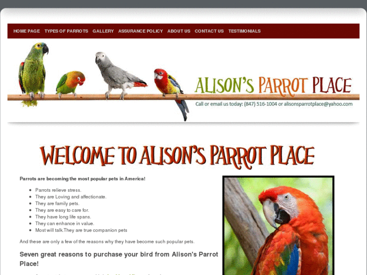 www.alisonsparrotplace.com