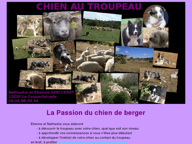 www.chien-au-troupeau.com