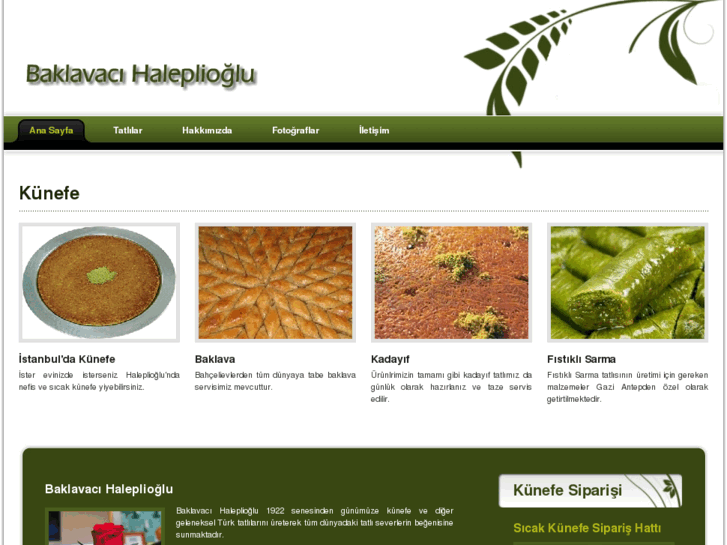 www.haleplioglu.com