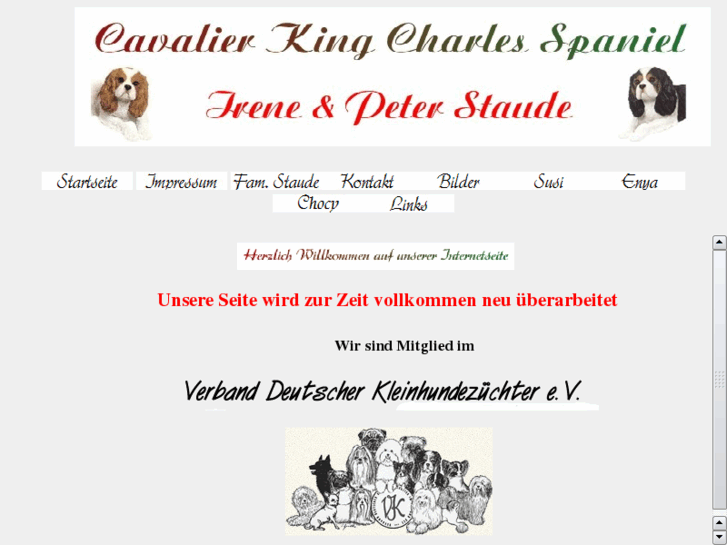 www.cavalier-spaniel.net