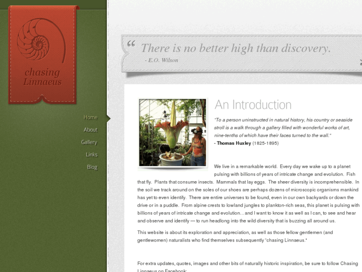 www.chasinglinnaeus.com