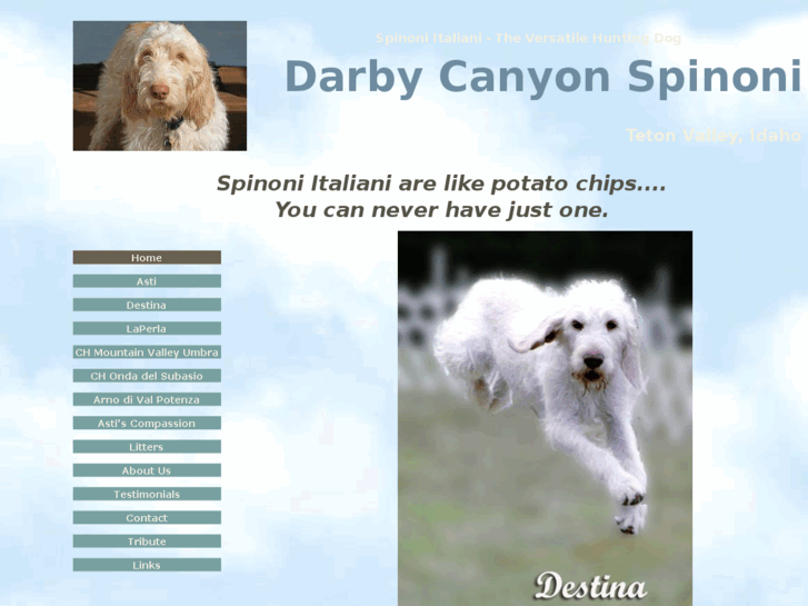 www.darbycanyonspinone.com