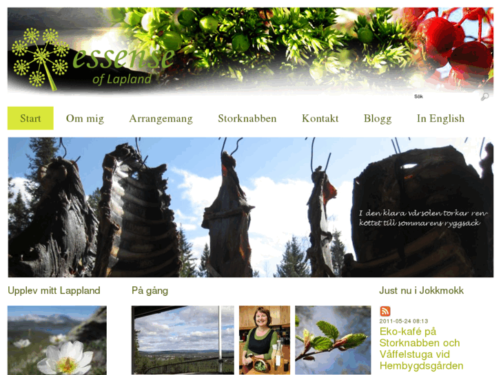 www.essenceoflapland.com