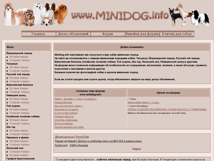 www.minidog.info