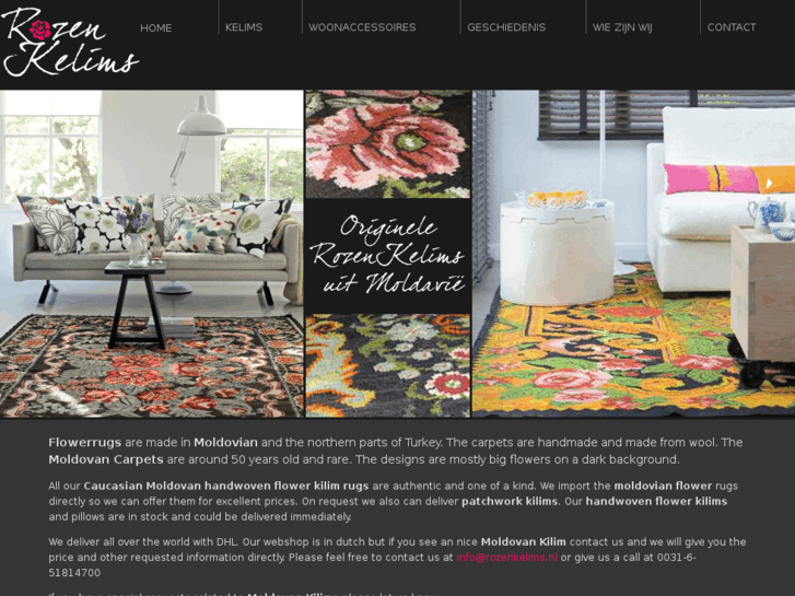 www.moldovanrugs.com