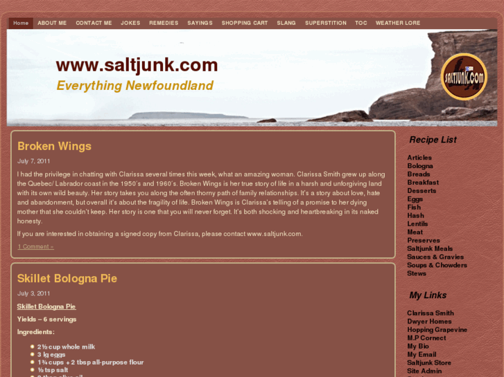 www.saltjunk.com