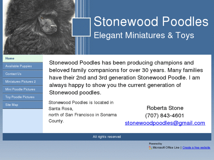 www.stonewoodpoodles.net