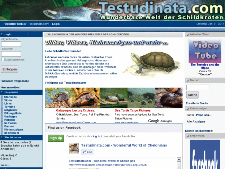 www.testudinata.net