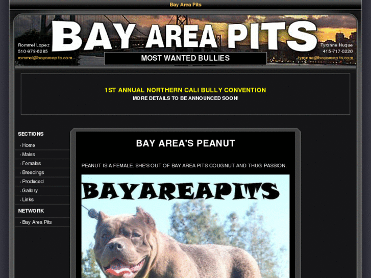 www.bayareapits.com