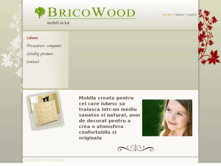 www.bricowood.com