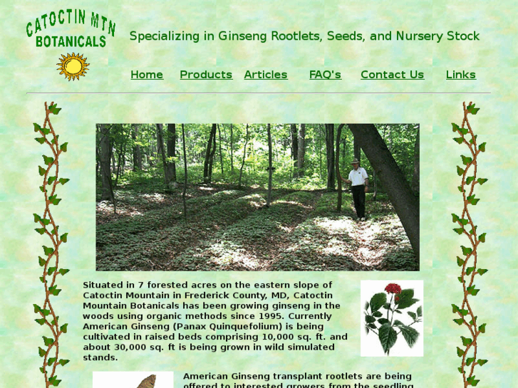 www.catoctinginseng.com