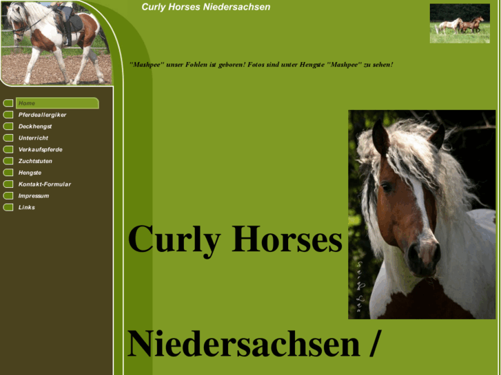 www.curly-horse-niedersachsen.com