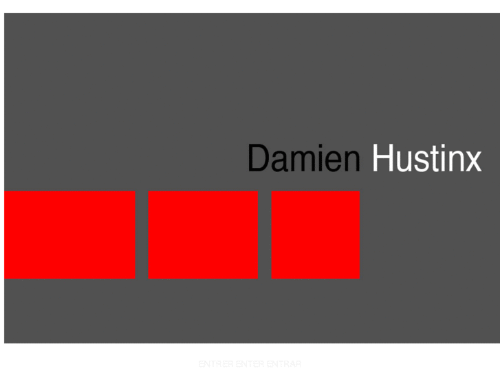 www.damienhustinx.com