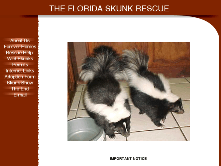 www.floridaskunkrescue.com