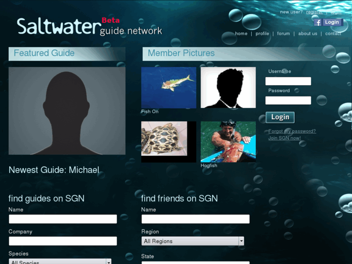 www.saltwaterguidenetwork.com