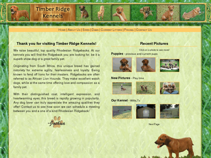 www.timberridge-kennels.com