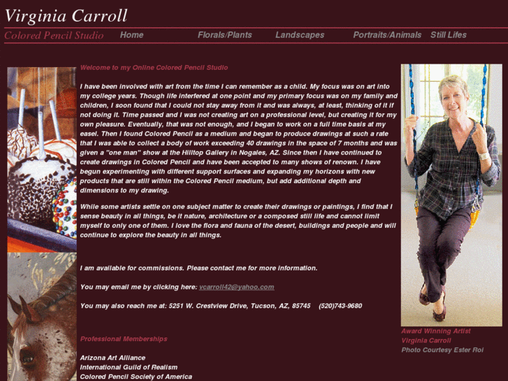 www.virginiacarroll.com