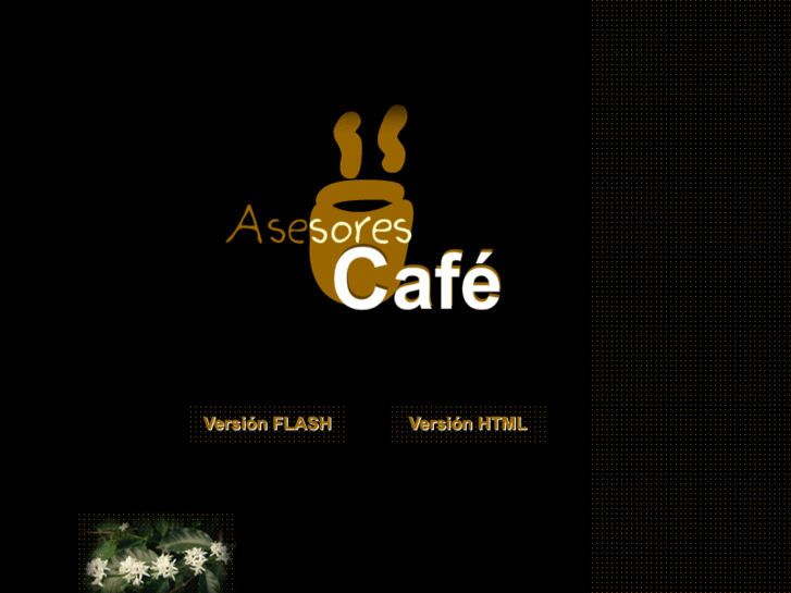 www.asesorescafe.com