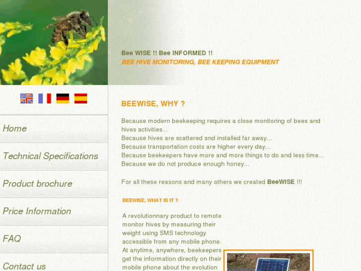 www.beewise.net