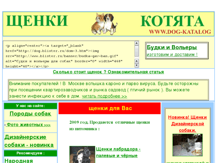 www.dog-katalog.ru