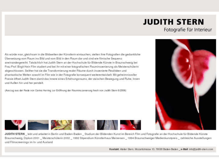 www.judith-stern.com