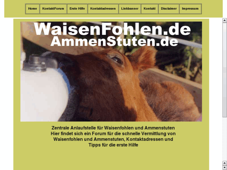 www.waisenfohlen.de