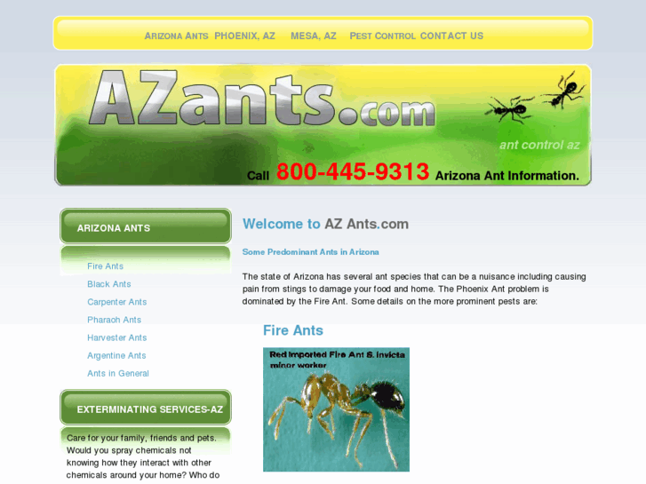 www.azants.com